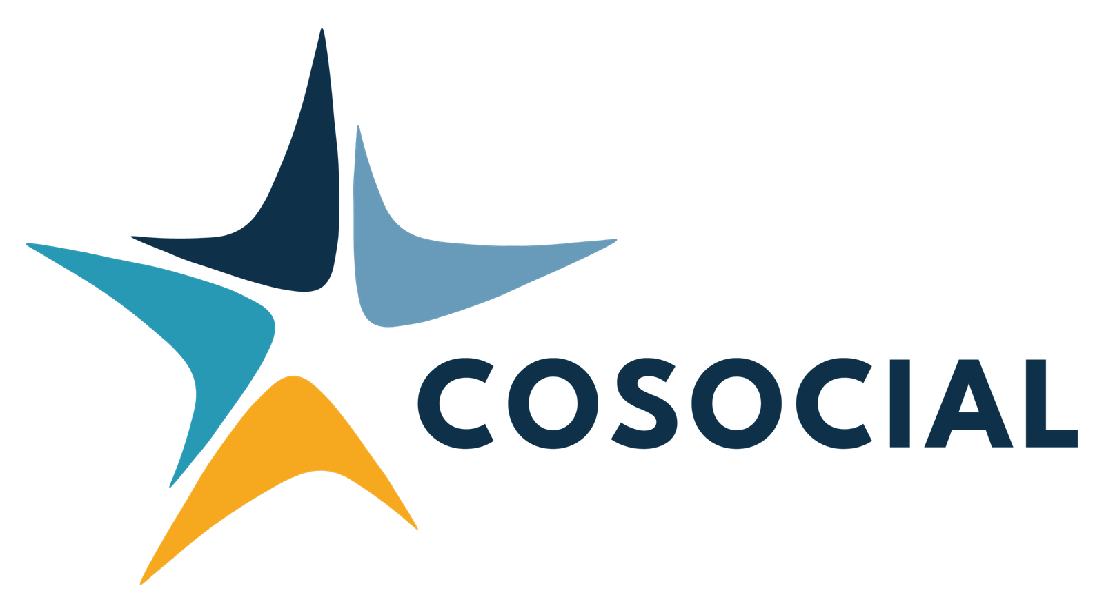 CoSocial Logo